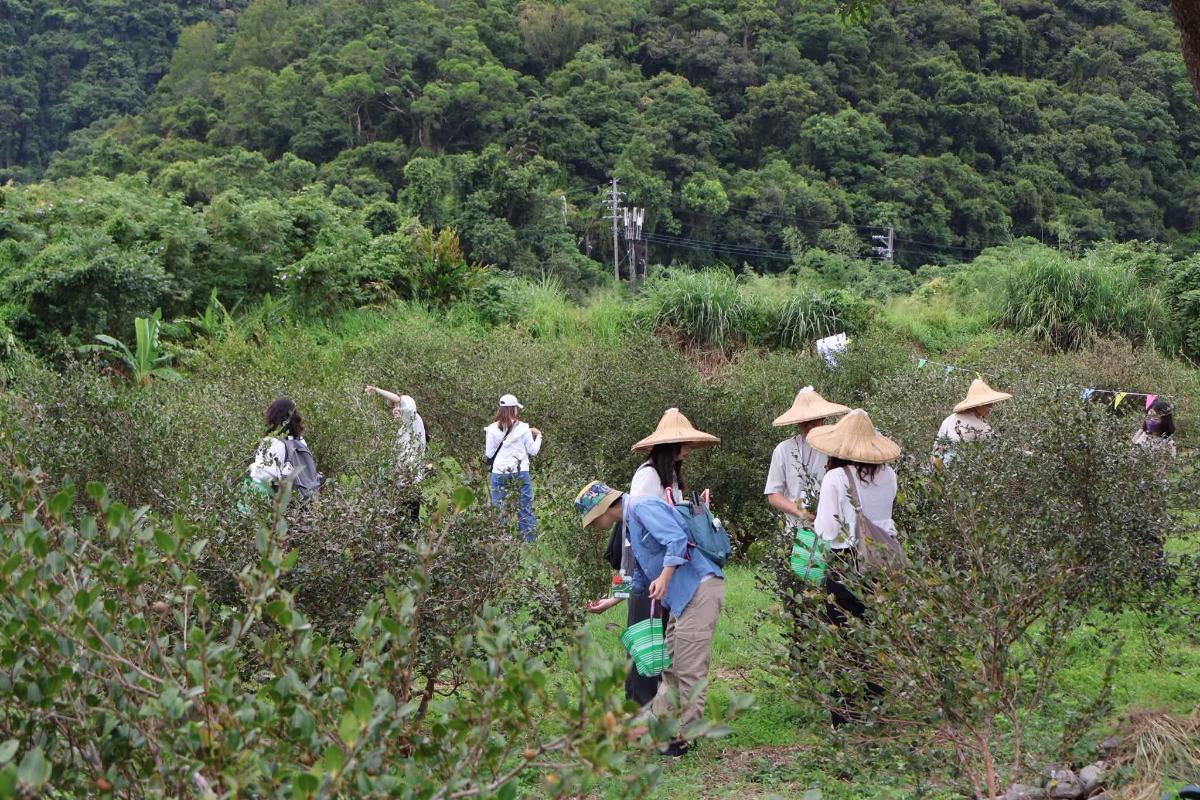 從一顆果實開始，走進地方的復興
