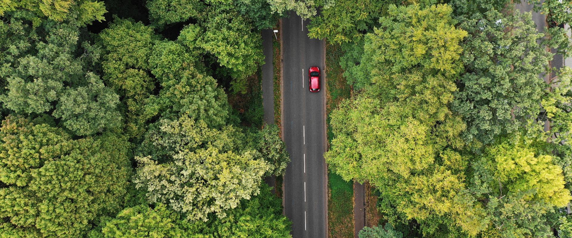 領航台灣
關注永續