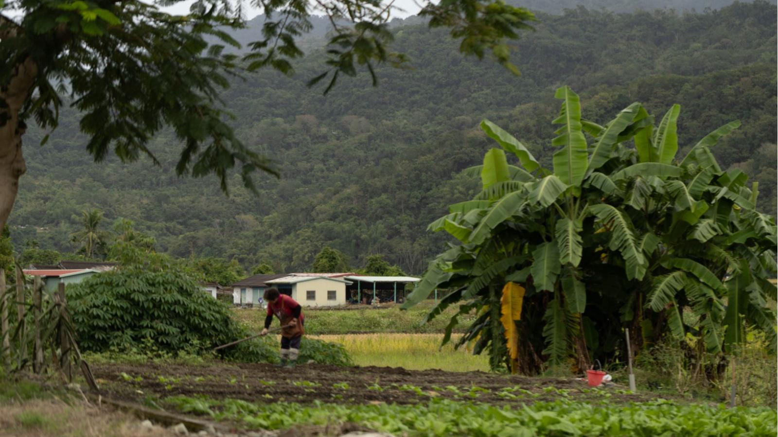 2025 花蓮玉里〈部落好未來，永續新聲音〉